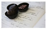 Homepage Image