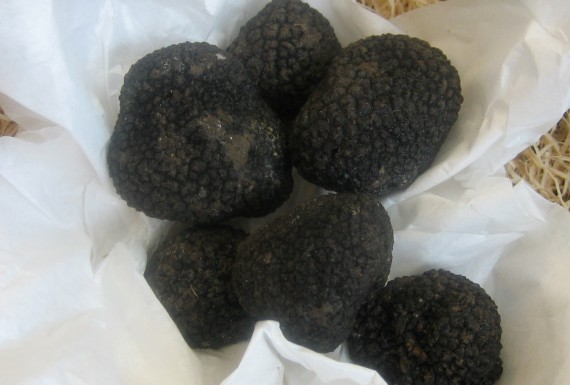 BLACK SUMMER TRUFFLE
